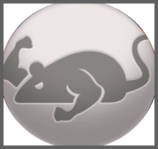 CatMouse APK