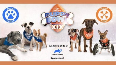 How to watch Puppy Bowl 2023