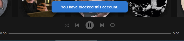You will see, the “You have blocked this account” message