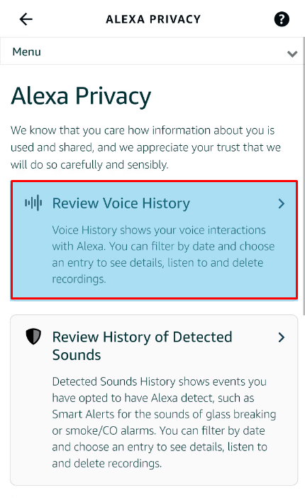 tap the Review Voice History option to Delete Alexa History