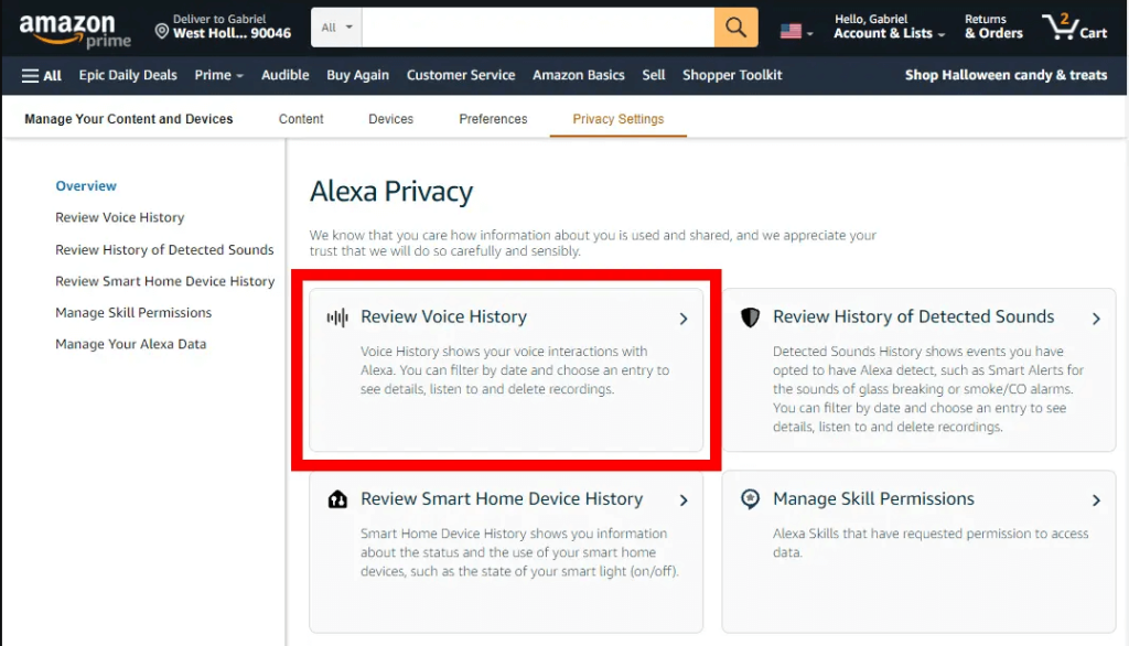 select the Review Voice History option