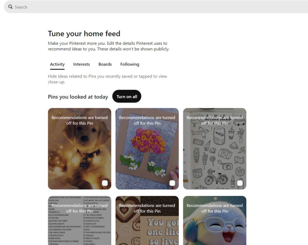 Pinterest Activity page