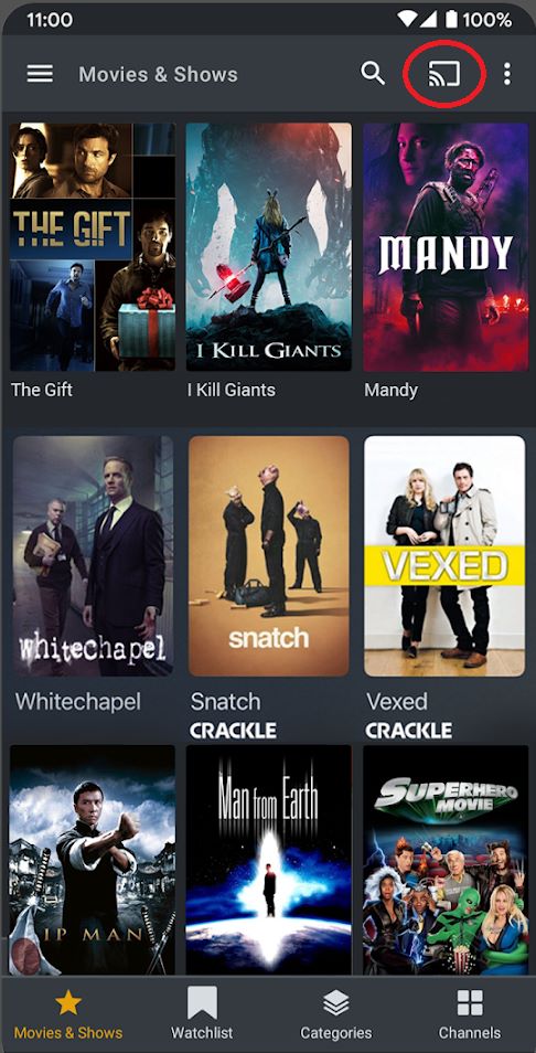 Cast Plex on Google TV