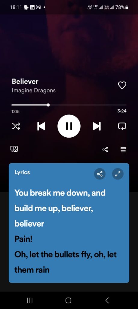 Spotify Lyrics Not Showing