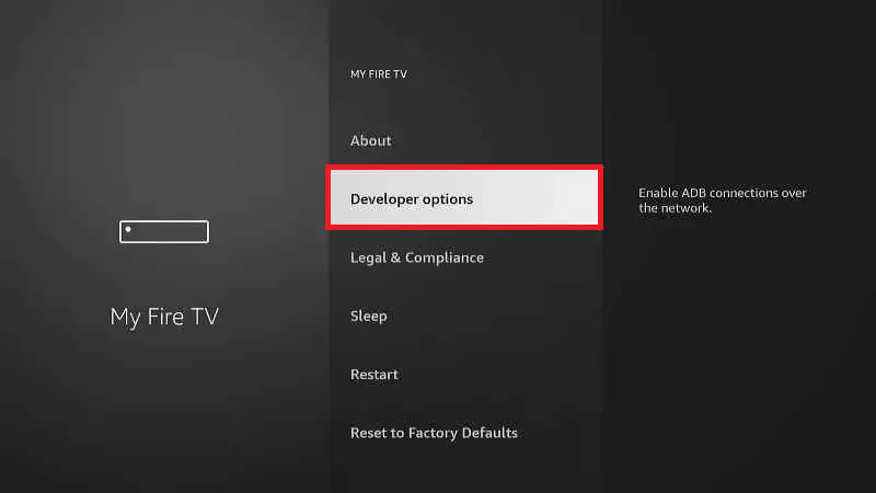 select Developer Options.