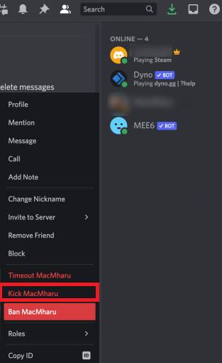 Kick Someone from Chat on Discord