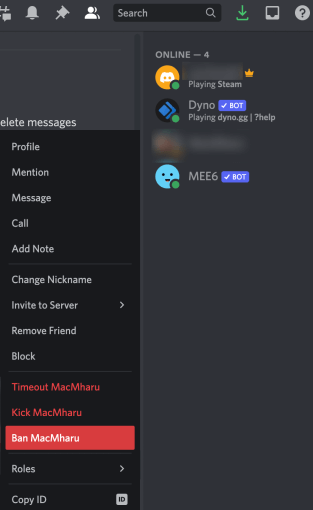 Ban Someone from Chat on Discord