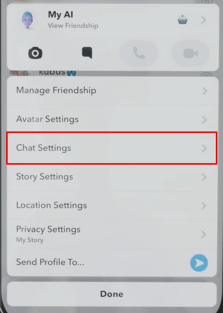 Select the Chat Settings option