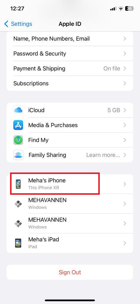 iPhone name