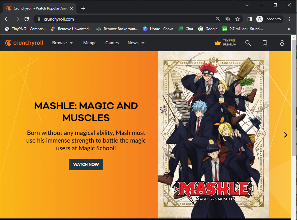 Stream using Incognito Mode to Fix Black Screen on Crunchyroll Beta