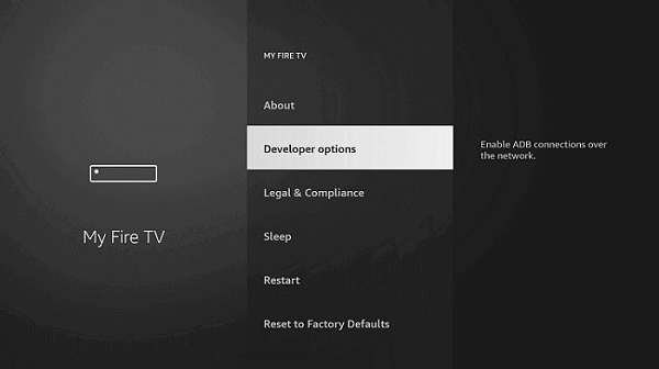 Select Developer Options