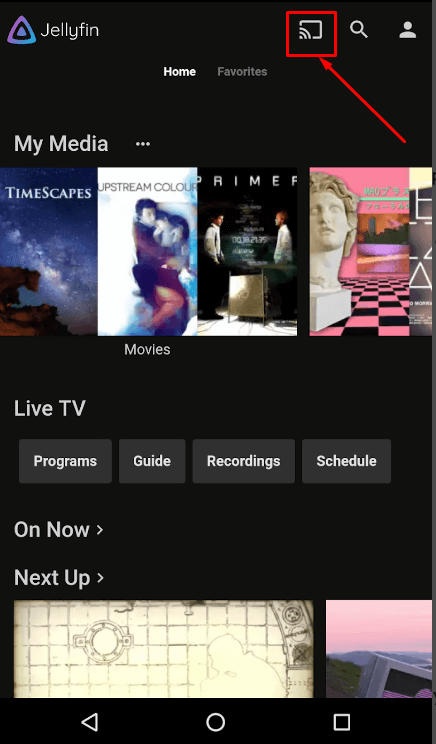 tap on the Cast icon to Chromecast Jellyfin