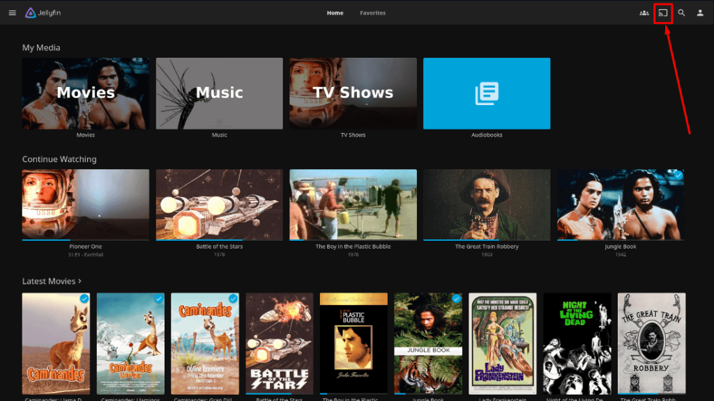 Chromecast Jellyfin