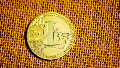 Future and Potential Challenges of Litecoin