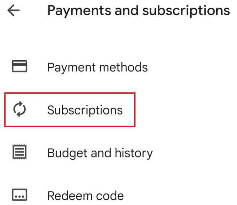 tap on the Subscription option.
