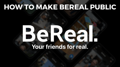How to Make BeReal Public