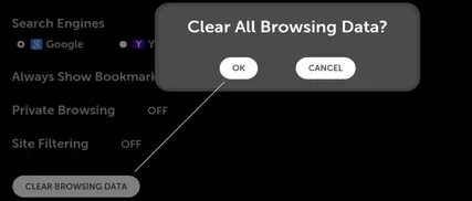 Click Clear Browsing Data