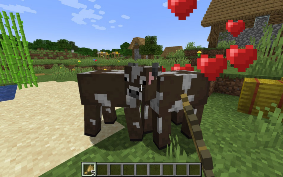 Breeding cows in Minecraft