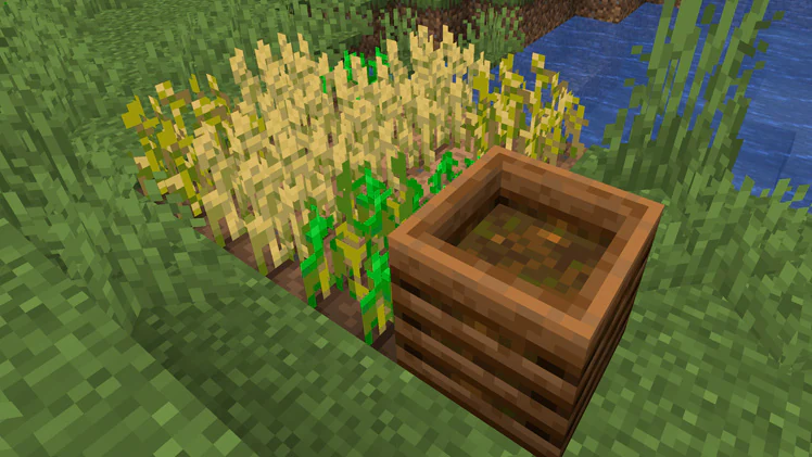 Harvest wheat in Minecraft