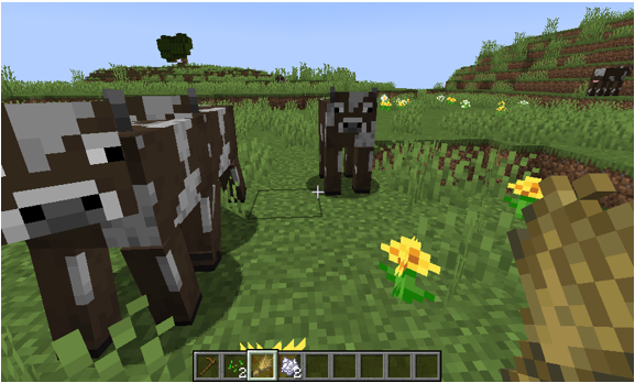 Feed Cows in Minecraft