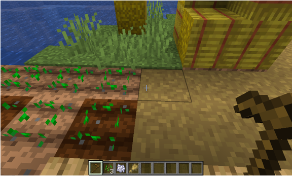 Plant the wheat seed near water area