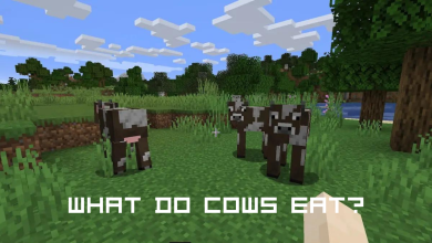 What do cows eat in Minecraft