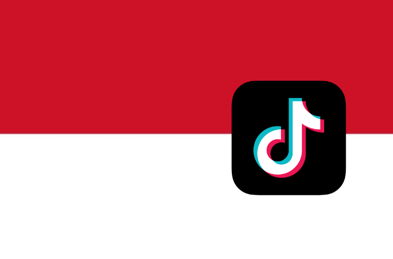 Buy TikTok Follower Indonesia