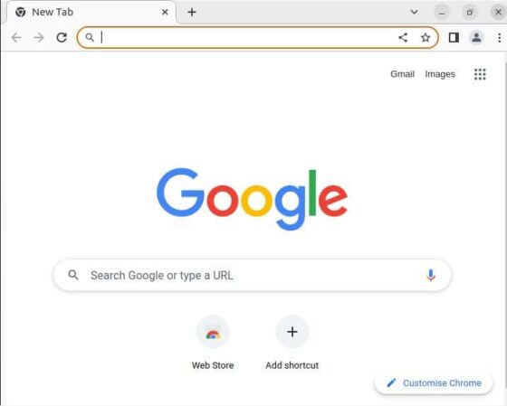Launch the Google Chrome on Ubuntu