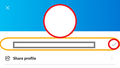 Hit the Checkboxes near the Skype user name