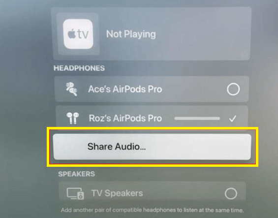 Tap the Share Audio option