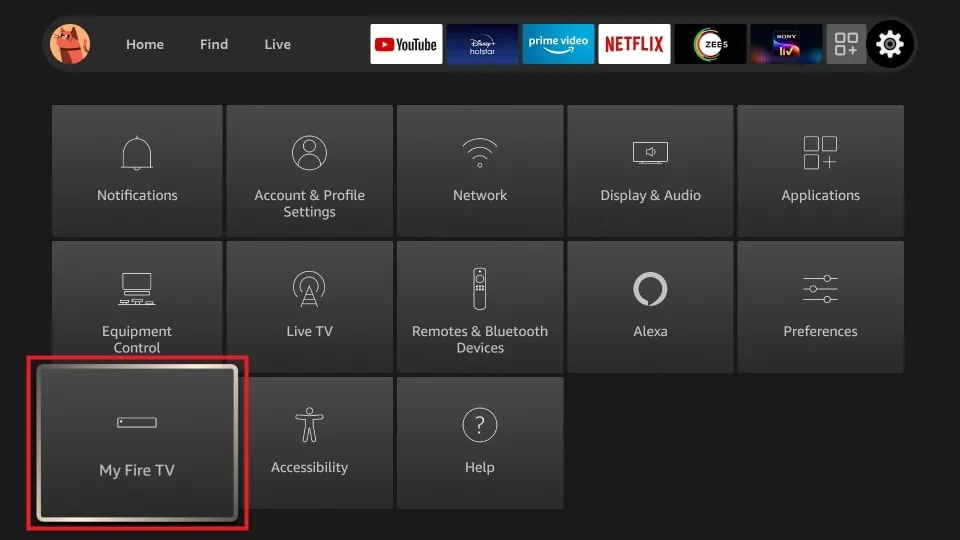 Click on Developer Options on Firestick 