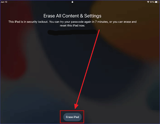 Click the Erase iPad button