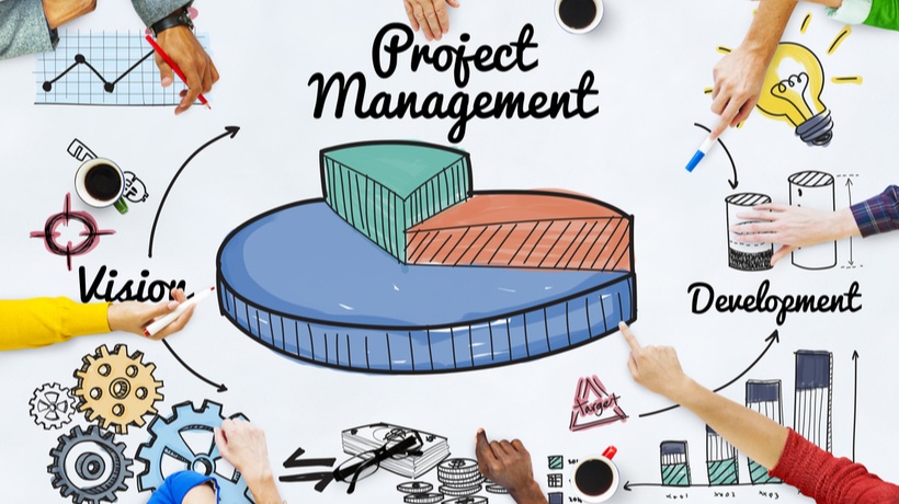 Project Managers