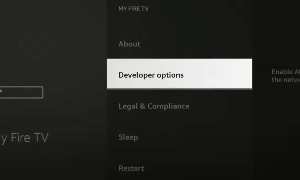 Select Developer Options from My Fire TV Menu