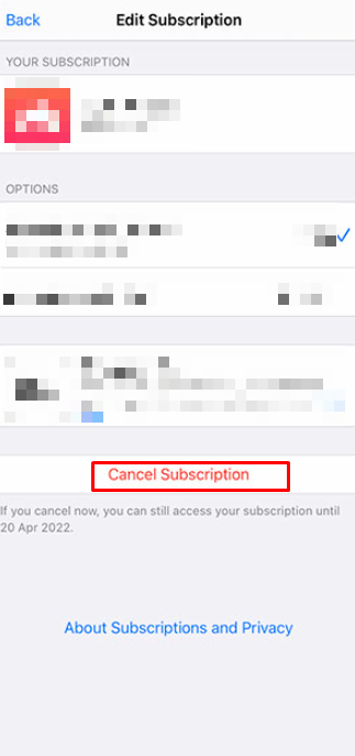 Click on Cancel Subscription on iPhone to Cancel Qobuz subscription