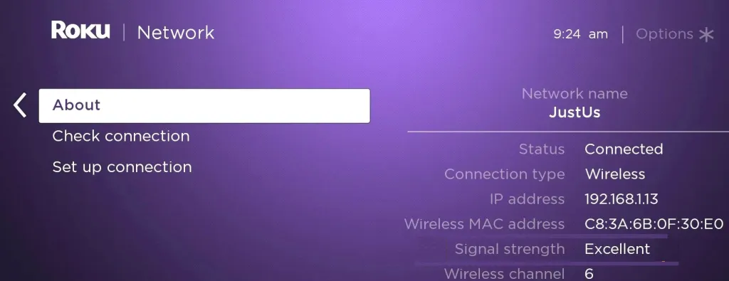 Network Roku Secret Menu