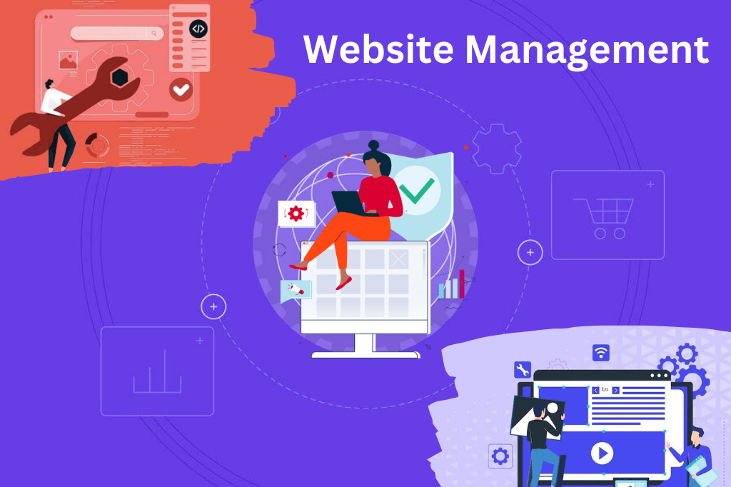 Website Management (4)