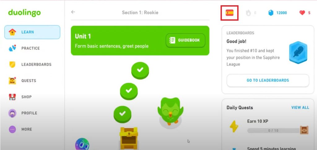 change language on duolingo web