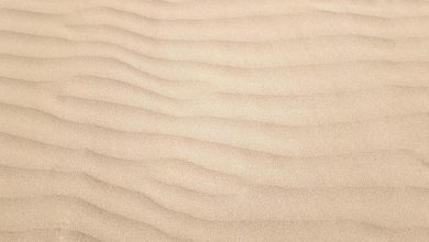 Do Neutral Colours Work in Website Design?